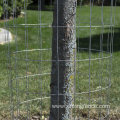 Wholesale Price Galvanized Wire Mesh For Farm Fence